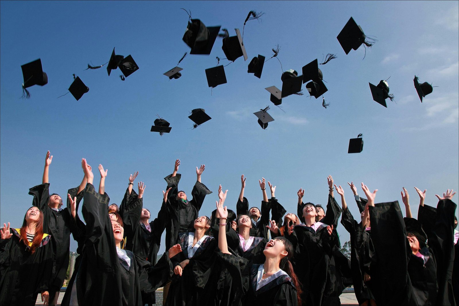 Education Illustration